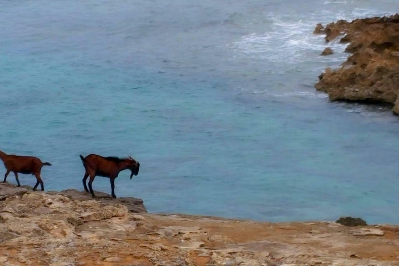 Es Fasser Alcúdia Esterno foto